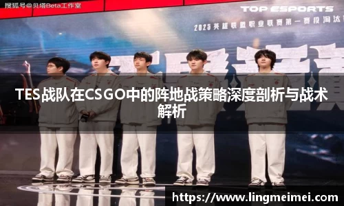 TES战队在CSGO中的阵地战策略深度剖析与战术解析