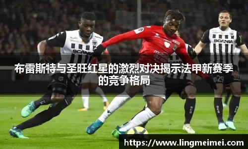 zoty中欧